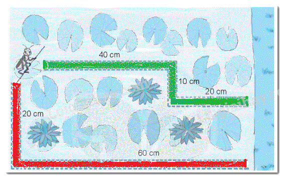 Giải bài 20: Phép cộng (có nhớ) số có hai chữ số với số có hai chữ số (tiết 3) trang 74 Vở bài tập toán 2 - Kết nối tri thức với cuộc sống 4