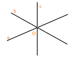 Giải bài 20 trang 92 sách bài tập Toán 6 – Cánh Diều Tập 2 2