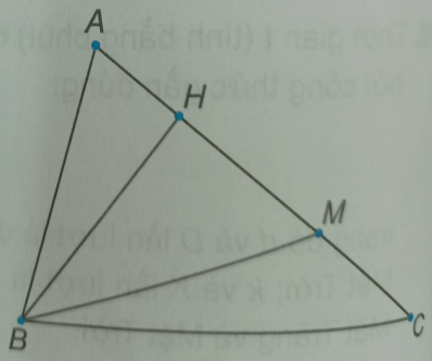 Giải Bài 20 trang 96 sách bài tập Toán 6 Kết nối tri thức với cuộc sống 1