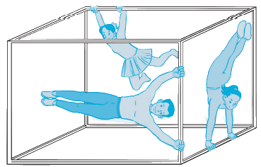 Giải bài 21: Khối lập phương, khối hộp chữ nhật trang 56 vở bài tập Toán 3 - Kết nối tri thức với cuộc sống 5