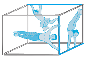 Giải bài 21: Khối lập phương, khối hộp chữ nhật trang 56 vở bài tập Toán 3 - Kết nối tri thức với cuộc sống 6
