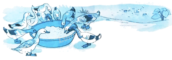 Giải bài 21: Luyện tập chung (tiết 2) trang 73 vở bài tập Toán 4 - Kết nối tri thức với cuộc sống 1 1