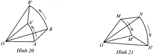 Giải bài 21 trang 113 sách bài tập toán 9 - Cánh diều tập 2 1