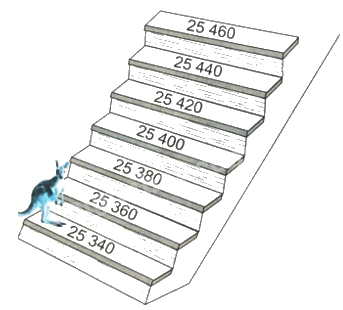 Giải bài 22: Phép cộng các số có nhiều chữ số (tiết 2) trang 77 vở bài tập Toán 4 - Kết nối tri thức với cuộc sống 3 1