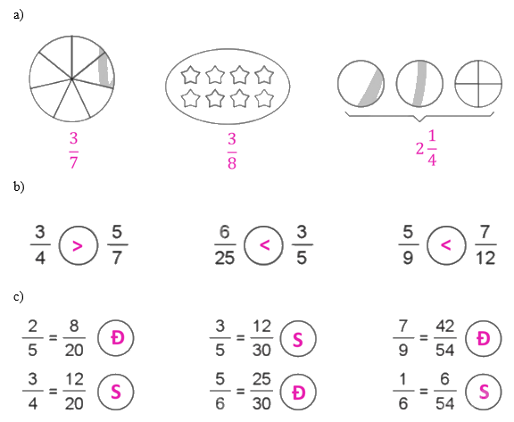 Giải bài 23: Em ôn lại những gì đã học trang 56, 57, 58, 59 vở bài tập Toán 5 - Cánh diều 4