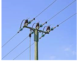 Giải bài 24 trang 92 sách bài tập Toán 6 – Cánh Diều Tập 2 3