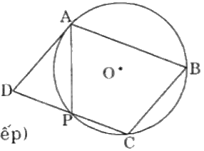 Giải bài 24 trang 92 sách bài tập toán 9 - Cánh diều tập 2 2