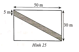 Giải Bài 25 trang 111 sách bài tập Toán 6 - Cánh diều 1