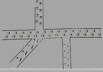 Giải bài 27: Hai đường thẳng vuông góc (tiết 2) trang 95 vở bài tập Toán 4 - Kết nối tri thức với cuộc sống 5