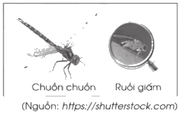 Giải bài 28: Nhân một số thập phân với 10; 100; 1 000; ... trang 69, 70 vở bài tập Toán 5 - Cánh diều 2