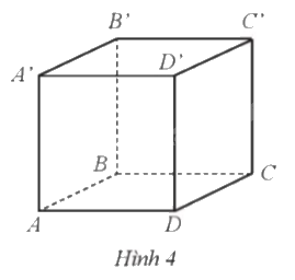 Giải bài 28 trang 61 sách bài tập toán 9 - Cánh diều tập 1 1