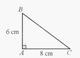 Giải bài 28 trang 90 sách bài tập toán 9 - Cánh diều tập 1 1