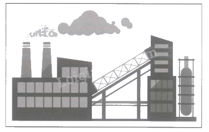 Giải bài 29: Hai đường thẳng song song (tiết 1) trang 100 vở bài tập Toán 4 - Kết nối tri thức với cuộc sống 2 1