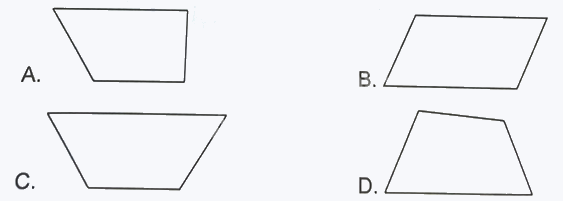 Giải bài 29: Hai đường thẳng song song (tiết 1) trang 100 vở bài tập Toán 4 - Kết nối tri thức với cuộc sống 3 1