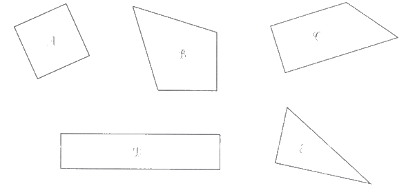 Giải bài 29: Hai đường thẳng song song (tiết 2) trang 101 vở bài tập Toán 4 - Kết nối tri thức với cuộc sống 4