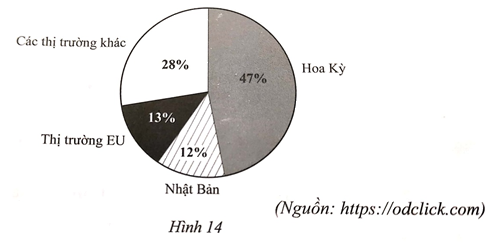 Giải bài 29 trang 21 sách bài tập Toán 6 – Cánh Diều Tập 2 2