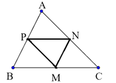 Giải bài 29 trang 85 SBT toán 10 - Cánh diều 2