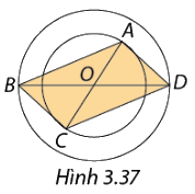 Giải bài 3.13 trang 66 SGK Toán 8 - Cùng khám phá 1