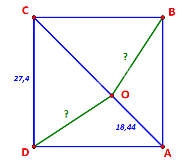 Giải bài 3.19 trang 45 SGK Toán 10 tập 1 – Kết nối tri thức 3