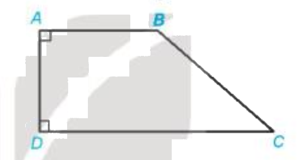 Giải bài 3 (3.8) trang 41 vở thực hành Toán 7 1