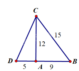 Giải bài 3.3 trang 58 SGK Toán 8 - Cùng khám phá 2