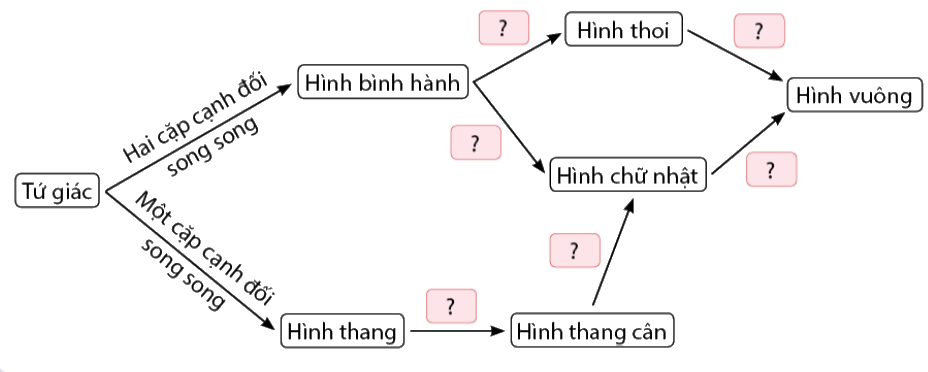 Giải bài 3.37 trang 88 SGK Toán 8 - Cùng khám phá 1