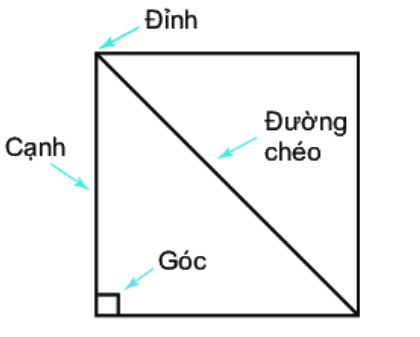 Giải bài 3 (4.6) trang 71 vở thực hành Toán 6 3
