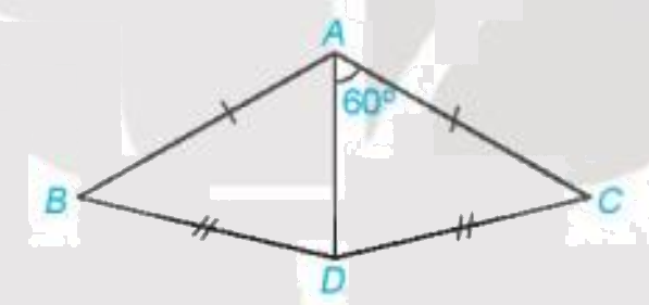 Giải bài 3 (4.9) trang 61 vở thực hành Toán 7 1