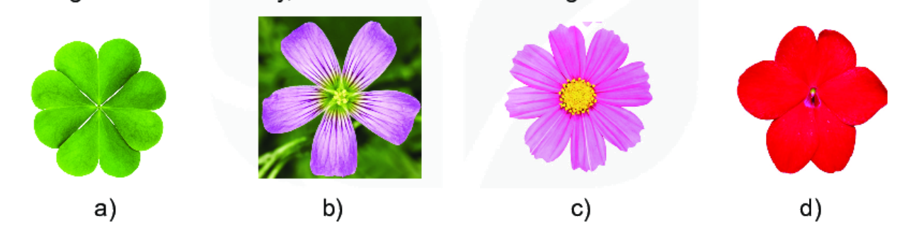 Giải bài 3 (5.5) trang 88 vở thực hành Toán 6 1