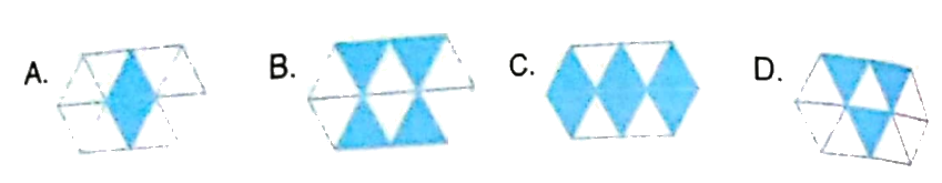 Giải bài 3: Ôn tập phân số (tiết 1) trang 11, 12 vở bài tập Toán 5 - Kết nối tri thức 3