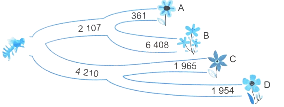 Giải bài 3: Số chẵn, số lẻ (tiết 2) trang 12, 13 vở bài tập Toán 4 - Kết nối tri thức với cuộc sống 3