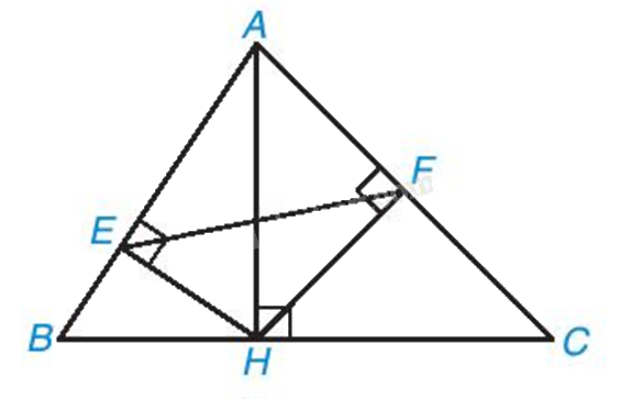 Giải bài 3 trang 102 vở thực hành Toán 8 tập 2 1
