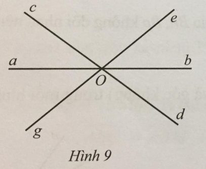 Giải Bài 3 trang 104 sách bài tập toán 7 tập 1 - Cánh diều 1