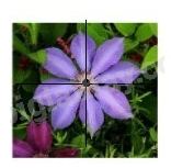 Giải bài 3 trang 117 SGK Toán 6 Cánh diều 1 1