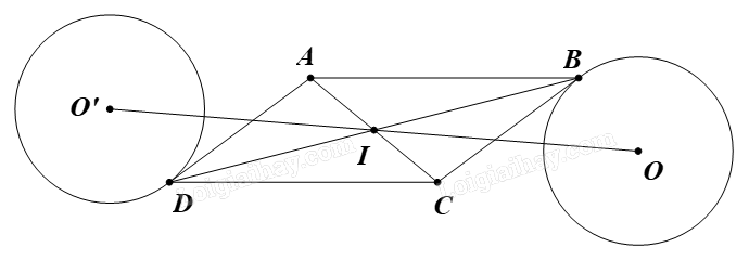 Giải bài 3 trang 24 Chuyên đề học tập Toán 11 Chân trời sáng tạo 2