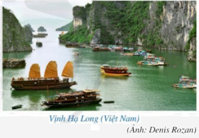 Giải bài 3 trang 30 SGK Toán 8 – Cánh diều 1