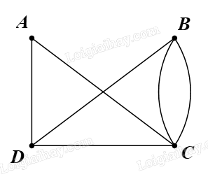 Giải bài 3 trang 49 Chuyên đề học tập Toán 11 Chân trời sáng tạo 2