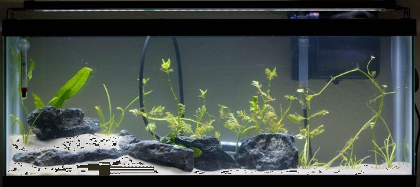 Giải Bài 3 trang 53 sách bài tập toán 7 tập 1 - Chân trời sáng tạo 2