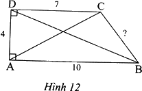 Giải bài 3 trang 57 sách bài tập toán 8 - Chân trời sáng tạo 1