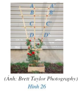 Giải bài 3 trang 61 SGK Toán 8 – Cánh diều 1