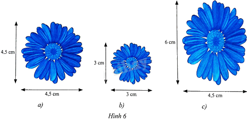 Giải bài 3 trang 72 sách bài tập toán 8 - Chân trời sáng tạo tập 2 1