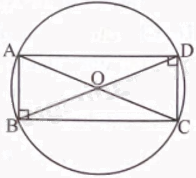 Giải bài 3 trang 79 sách bài tập toán 9 - Chân trời sáng tạo tập 2 2