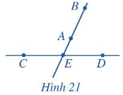 Giải bài 3 trang 79 SGK Toán 6 Cánh diều 1