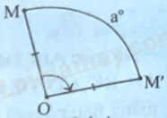 Giải bài 3 trang 86 sách bài tập toán 9 - Chân trời sáng tạo tập 2 3