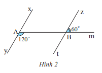 Giải bài 3 trang 87 SGK Toán 7 tập 1 - Chân trời sáng tạo 1