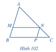 Giải bài 3 trang 94 SGK Toán 8 – Cánh diều 1