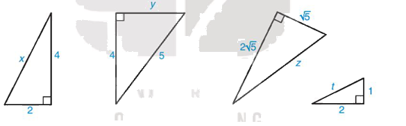 Giải bài 3 trang 94 vở thực hành Toán 8 tập 2 1