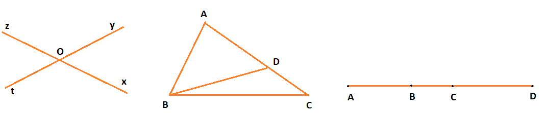 Giải bài 3 trang 98 sách bài tập Toán 6 - Chân trời sáng tạo Tập 2 3