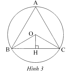 Giải bài 3 trang 98 sách bài tập toán 9 - Chân trời sáng tạo tập 1 1