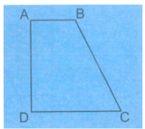 Giải bài 30: Thực hành và trải nghiệm vẽ hai đường thẳng song song (tiết 1) trang 103 vở bài tập Toán 4 - Kết nối tri thức với cuộc sống 5